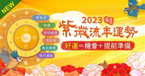 2023紫微流年運勢免費 右位 意思